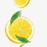 Lemon Honey