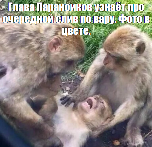 Screenshot_29.png.0b1a313c2e34ea069d14eb6c16264622.png